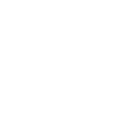 Pet Traveller logo
