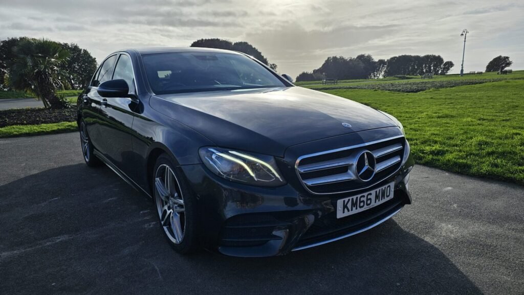 Pet Traveller Mercedes-Benz E-Class in Folkestone