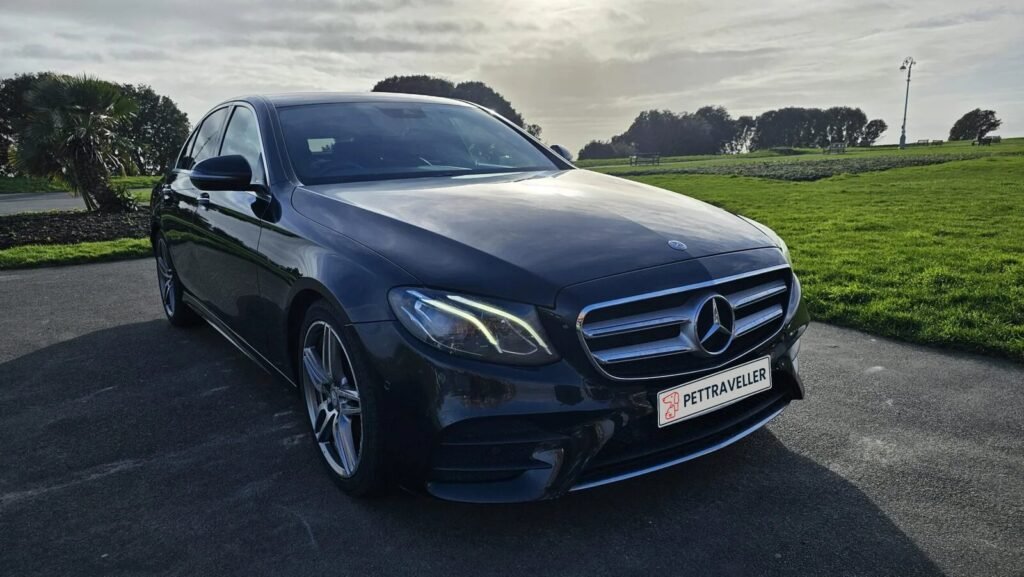 Pet Traveller Mercedes-Benz E-Class in Folkestone